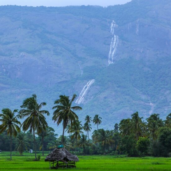 Kerala tour