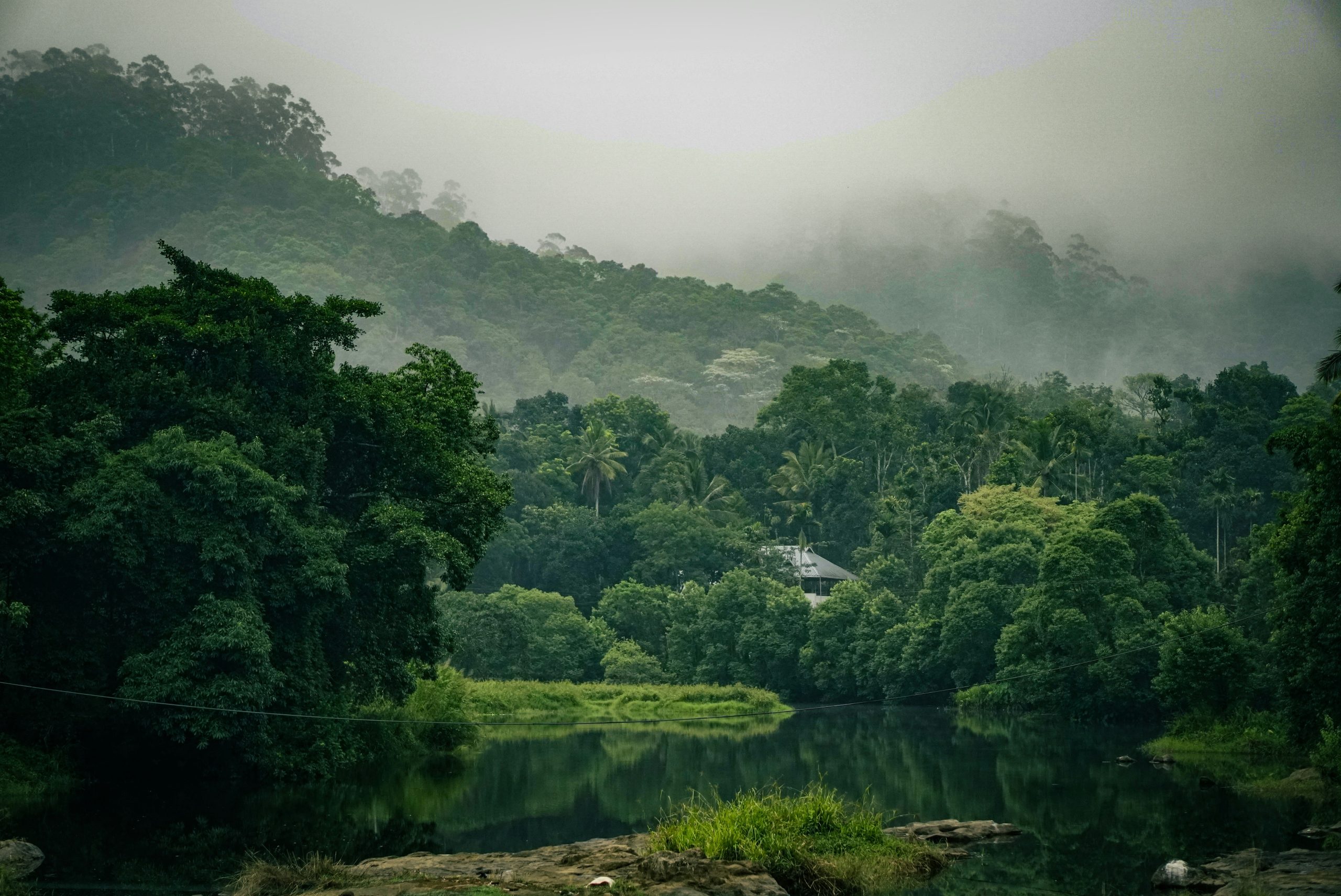 rishi-sreekar-7OjZUOyO_FI-unsplash