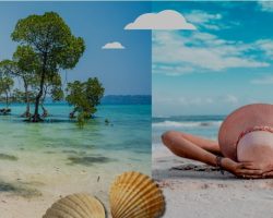 ANDAMAN Tour Packages