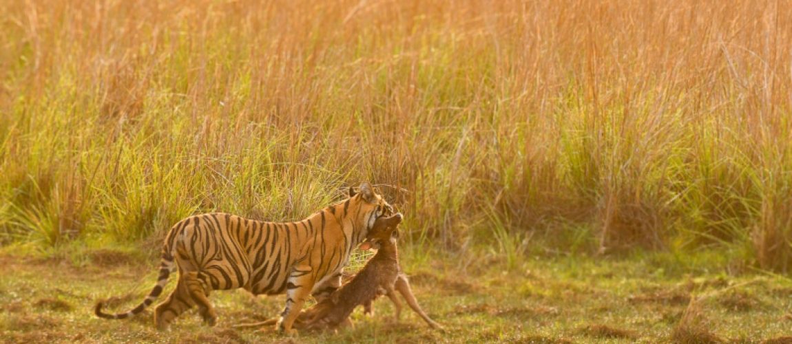 Processed with Focos