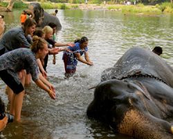 kerala-group-tour