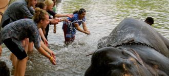 kerala-group-tour